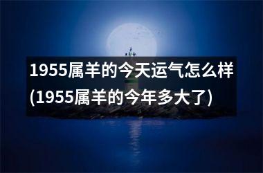 1955属羊的今天运气怎么样(1955属羊的今年多大了)