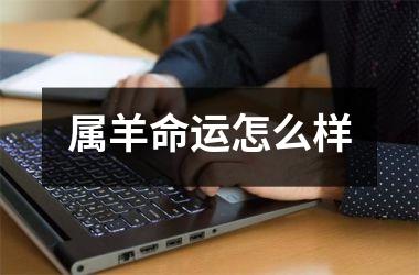 属羊命运怎么样