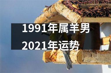 1991年属羊男2025年运势