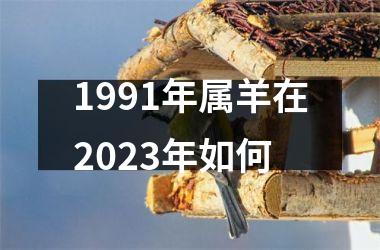 1991年属羊在2023年如何