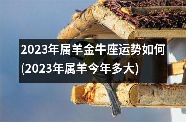 2025年属羊金牛座运势如何(2025年属羊今年多大)