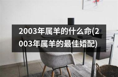 2003年属羊的什么命(2003年属羊的最佳婚配)