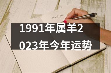 1991年属羊2023年今年运势