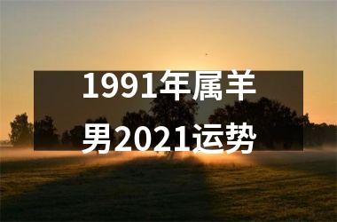 1991年属羊男2025运势