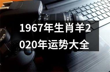 1967年生肖羊2025年运势大全