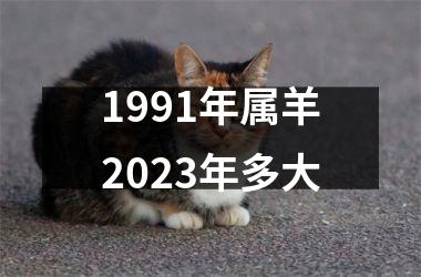 1991年属羊2023年多大