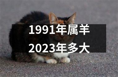 1991年属羊2025年多大