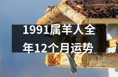 1991属羊人全年12个月运势