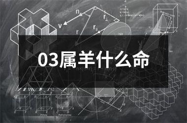 03属羊什么命