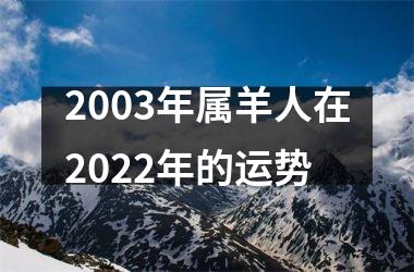2003年属羊人在2025年的运势