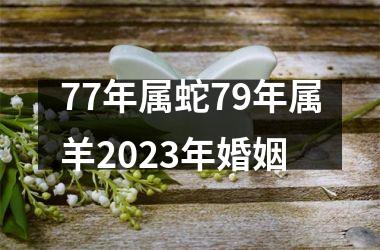 77年属蛇79年属羊2023年婚姻