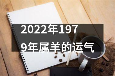 <h3>2025年1979年属羊的运气