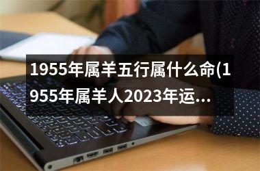 1955年属羊五行属什么命(1955年属羊人2025年运势及运程)