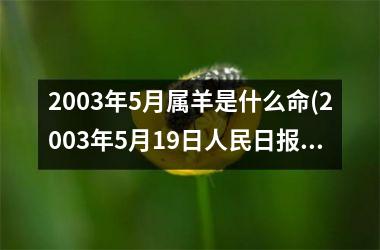 <h3>2003年5月属羊是什么命(2003年5月19日人民日报)