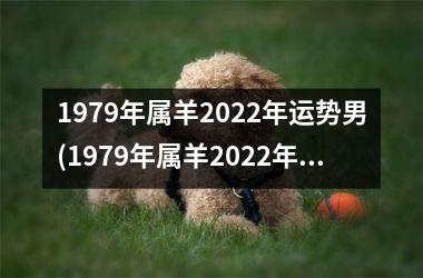 1979年属羊2022年运势男(1979年属羊2022年运势)