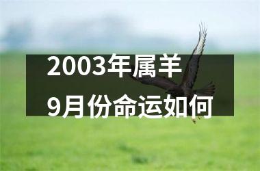 2003年属羊9月份命运如何