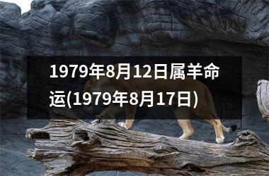 1979年8月12日属羊命运(1979年8月17日)