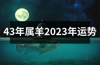 43年属羊2025年运势