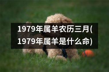 1979年属羊农历三月(1979年属羊是什么命)