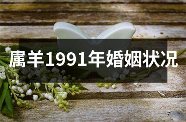 属羊1991年婚姻状况