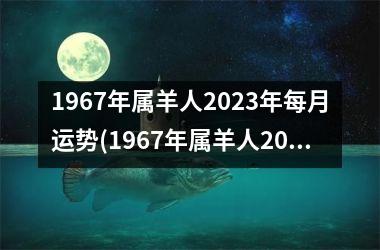 1967年属羊人2023年每月运势(1967年属羊人2023年运势男性)