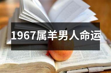 1967属羊男人命运