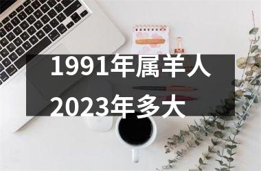 1991年属羊人2023年多大