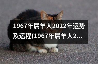 1967年属羊人2022年运势及运程(1967年属羊人2022年运势男性)