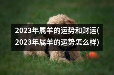 2025年属羊的运势和财运(2025年属羊的运势怎么样)
