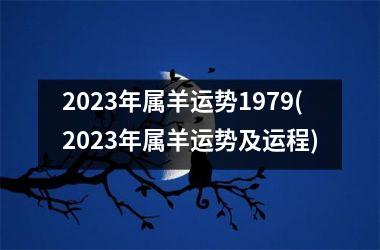 2025年属羊运势1979(2025年属羊运势及运程)
