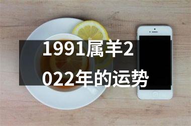 1991属羊2022年的运势