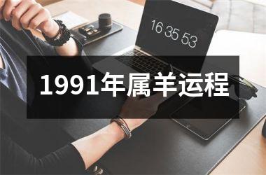 1991年属羊运程