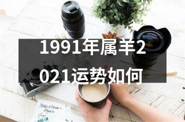1991年属羊2025运势如何