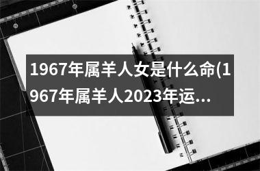 1967年属羊人女是什么命(1967年属羊人2023年运势男性)