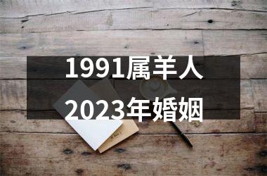 1991属羊人2023年婚姻