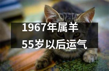 1967年属羊55岁以后运气