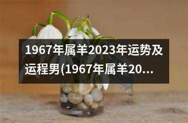 1967年属羊2025年运势及运程男(1967年属羊2025年运势及运程每月运程)