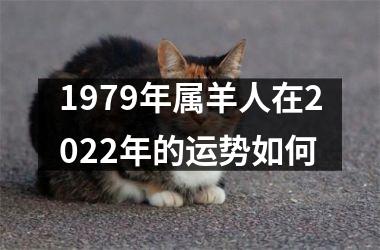 1979年属羊人在2022年的运势如何