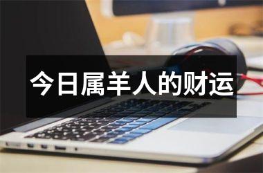 今日属羊人的财运