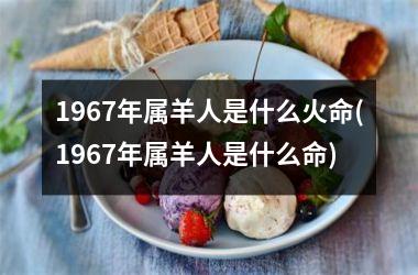 1967年属羊人是什么火命(1967年属羊人是什么命)