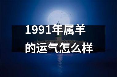 1991年属羊的运气怎么样