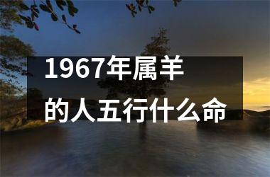 1967年属羊的人五行什么命