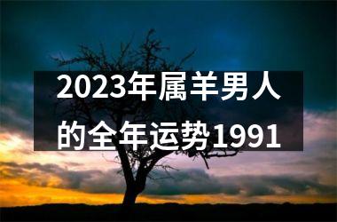 2023年属羊男人的全年运势1991