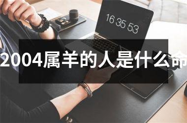 2004属羊的人是什么命