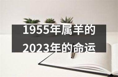 1955年属羊的2023年的命运