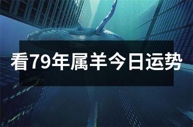 看79年属羊今日运势