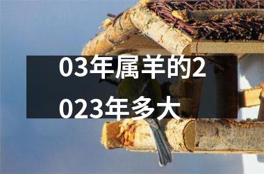 03年属羊的2025年多大
