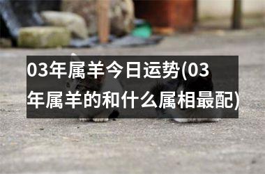 03年属羊今日运势(03年属羊的和什么属相最配)