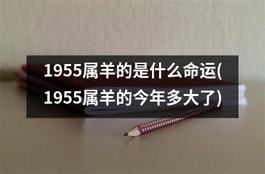 1955属羊的是什么命运(1955属羊的今年多大了)