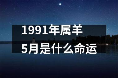 1991年属羊5月是什么命运